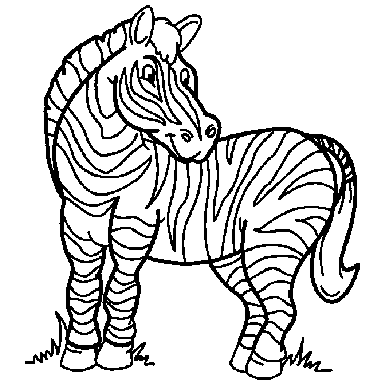 Zebra Coloring Pages 10